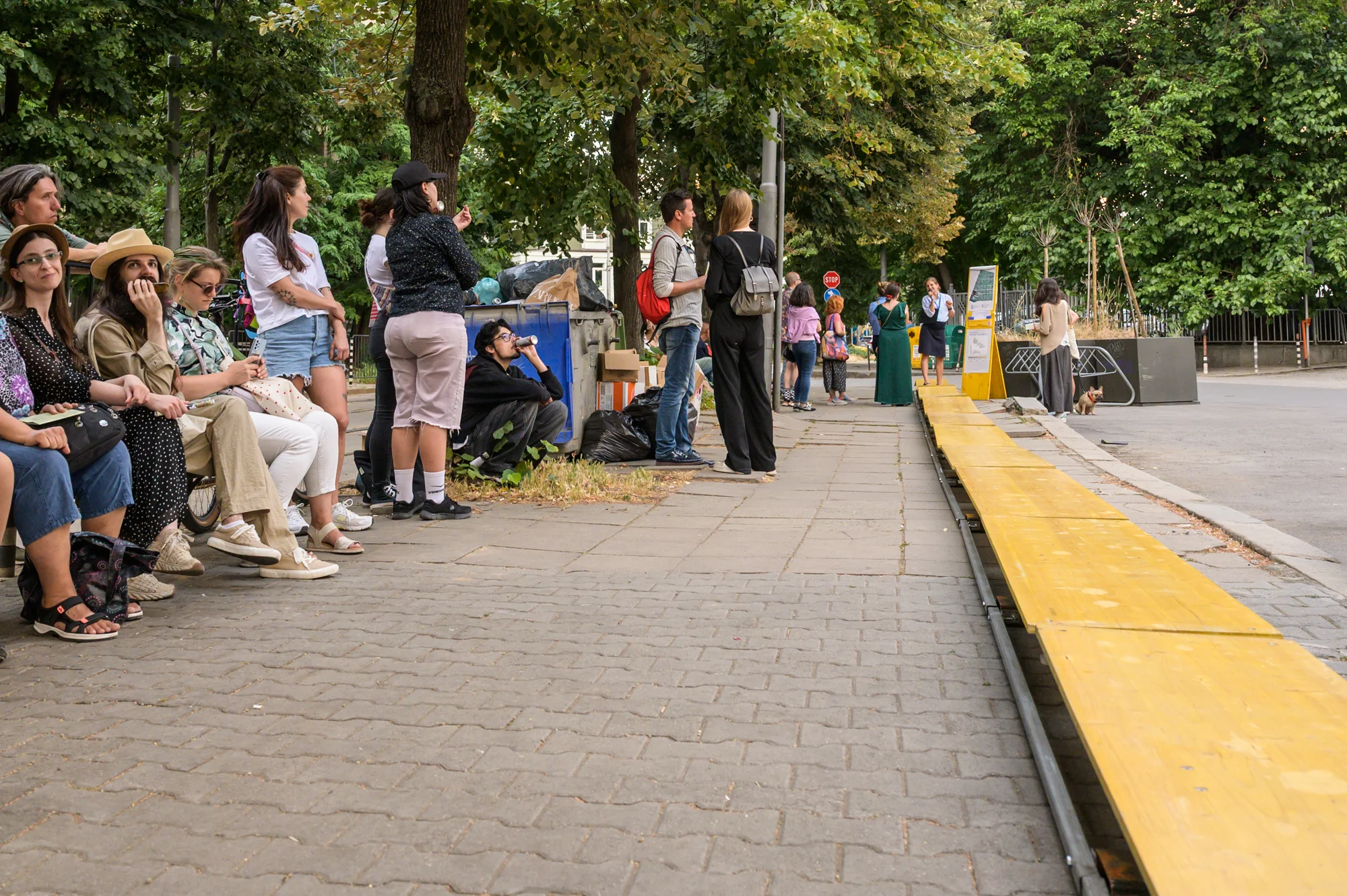 NineElephants-2025-SilviaCherneva-©RosinaPencheva-3031